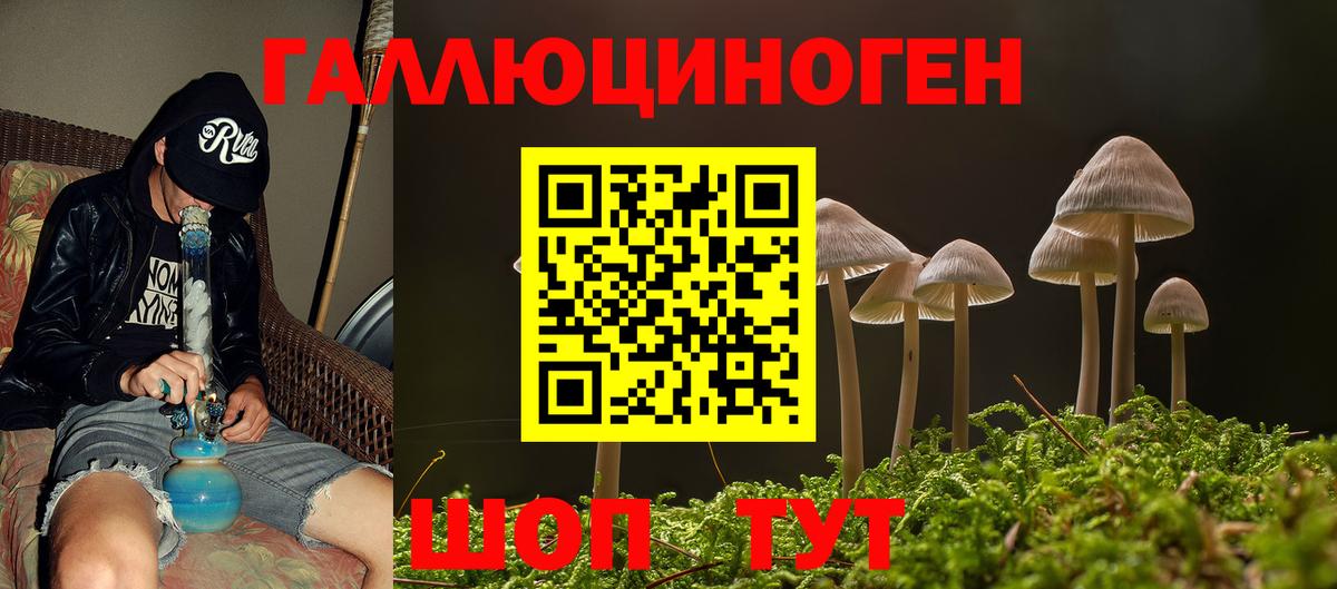 Галлюциногенные грибы MAGIC MUSHROOMS  Вход с VPN  Знаменск  Псилоцибиновые грибы GOLDEN TEACHER 